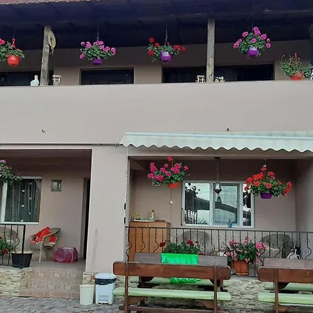 Guest house La Dana Costinesti